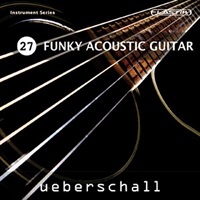 FUNKY ACOUSTIC GUITAR / ELASTIK(オンライン納品)(2時間以内に納品)