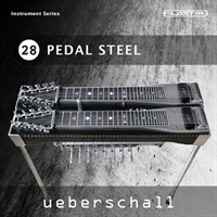 PEDAL STEEL / ELASTIK(オンライン納品)(2時間以内に納品)