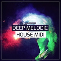 DEEP MELODIC HOUSE MIDI(オンライン納品)(2時間以内に納品)