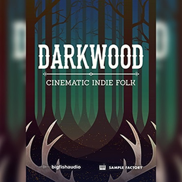 DARKWOOD: CINEMATIC INDIE FOLK(オンライン納品)(2時間以内に納品)