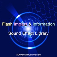 FLASH IMPACT & INFORMATION