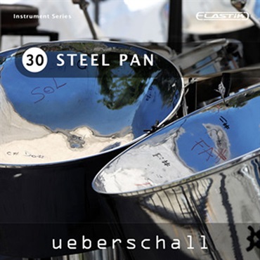 STEEL PAN / ELASTIK(オンライン納品)(2時間以内に納品)