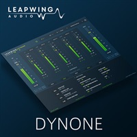 DynOne