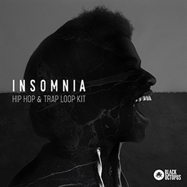 INSOMNIA(オンライン納品)(2時間以内に納品)