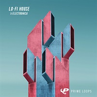 LO-FI HOUSE & ELECTRONICA(オンライン納品)(2時間以内に納品)