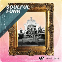 SOULFUL FUNK(オンライン納品)(2時間以内に納品)