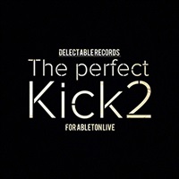 THE PERFECT KICK 2(オンライン納品)(2時間以内に納品)