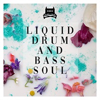 LIQUID DRUM AND BASS SOUL(オンライン納品)(2時間以内に納品)