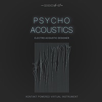 PSYCHO ACOUSTICS(オンライン納品)(2時間以内に納品)