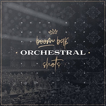 DIGINOIZ BOOM BAP ORCHESTRAL SHOTS(オンライン納品)(2時間以内に納品)