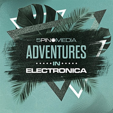 ADVENTURES IN ELECTRONICA(オンライン納品)(2時間以内に納品)