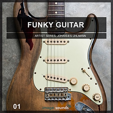 FUNKY GUITAR VOL.1(オンライン納品)(2時間以内に納品)