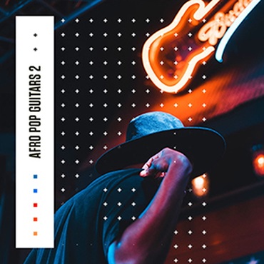 DIGINOIZ AFRO POP GUITARS 2(オンライン納品)(2時間以内に納品)