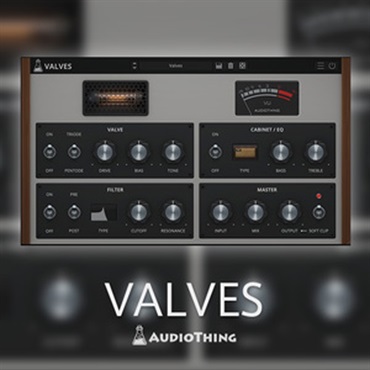 VALVES(オンライン納品)(2時間以内に納品)
