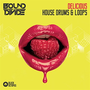 BLACK OCTOPUS DELICIOUS HOUSE DRUMS & LOOPS(オンライン納品)(2時間以内に納品)