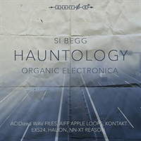 HAUNTOLOGY(オンライン納品)(2時間以内に納品)