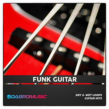 FUNK GUITAR(オンライン納品)(2時間以内に納品)