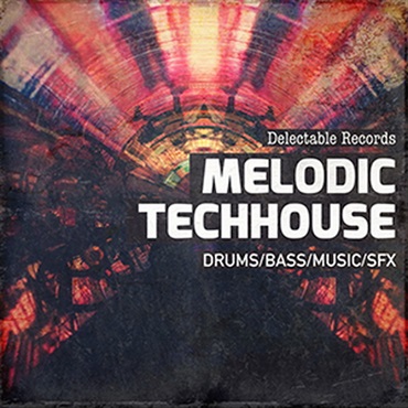 DELECTABLE RECORDS MELODIC TECHHOUSE 01(オンライン納品)(2時間以内に納品)