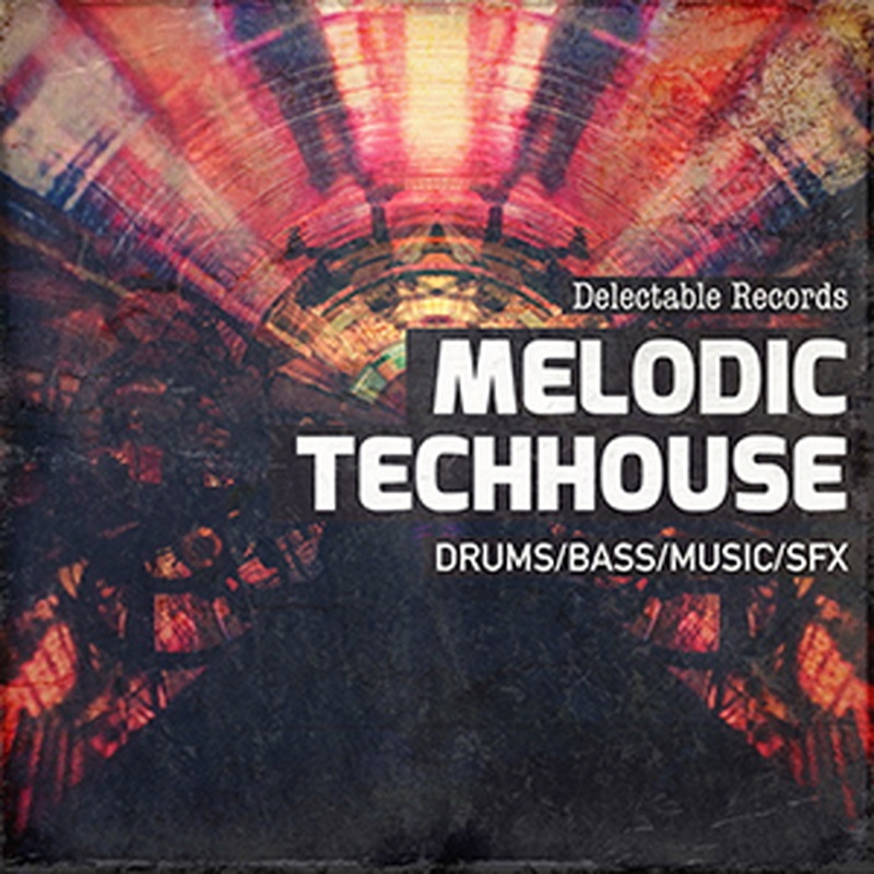 DELECTABLE RECORDS MELODIC TECHHOUSE 01(オンライン納品)(2時間以内に納品)
