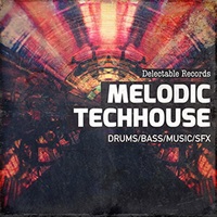 MELODIC TECHHOUSE 01(オンライン納品)(2時間以内に納品)