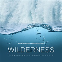 【ブルーゾーンSF系効果音サンプルパックが50%OFF！】WILDERNESS FLOWING WATER SOUND EFFECTS(オンライン納品)(2時間以内に納品)