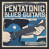 【厳選サンプルパック・シンセプリセットが約40%OFF！】PENTATONIC BLUES GUITARS(オンライン納品)(2時間以内に納品)