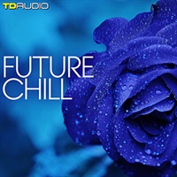 FUTURE CHILL