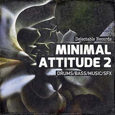 DELECTABLE RECORDS MINIMAL ATTITUDE 02(オンライン納品)(2時間以内に納品)