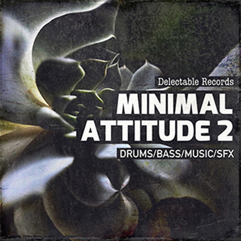 DELECTABLE RECORDS MINIMAL ATTITUDE 02(オンライン納品)(2時間以内に納品)
