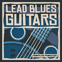 【厳選サンプルパック・シンセプリセットが約40%OFF！】LEAD BLUES GUITARS(オンライン納品)(2時間以内に納品)