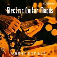 ELECTRIC GUITAR MOODS / ELASTIK(オンライン納品)(2時間以内に納品)