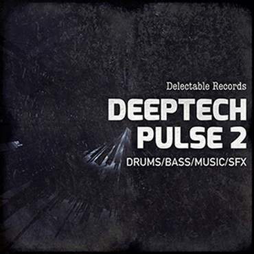 DELECTABLE RECORDS DEEPTECH PULSE 02(オンライン納品)(2時間以内に納品)