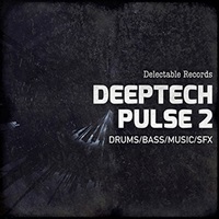 DEEPTECH PULSE 02(オンライン納品)(2時間以内に納品)