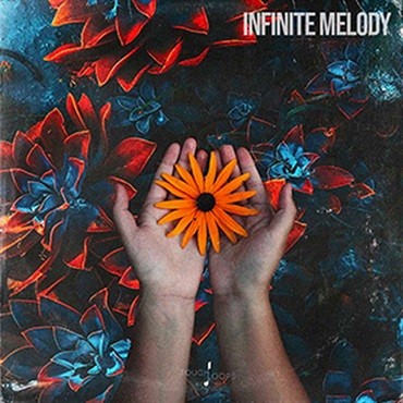 INFINITE MELODY(オンライン納品)(2時間以内に納品)