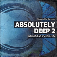 ABSOLUTELY DEEP 02(オンライン納品)(2時間以内に納品)