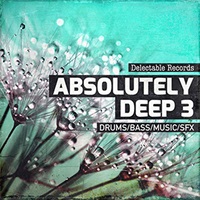 ABSOLUTELY DEEP 03(オンライン納品)(2時間以内に納品)