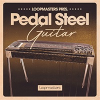 PEDAL STEEL GUITAR