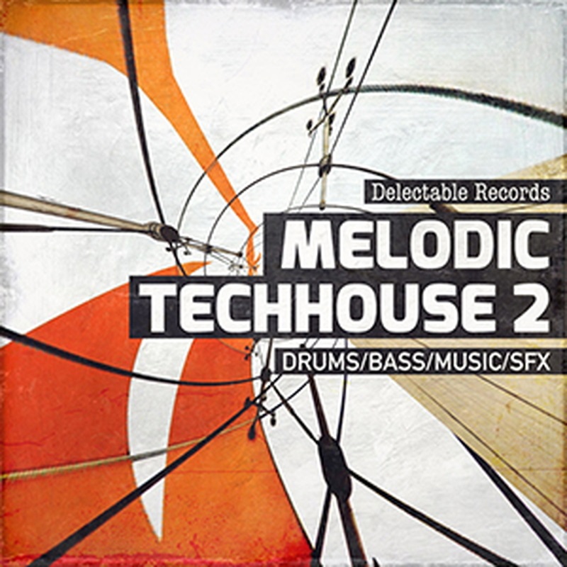DELECTABLE RECORDS MELODIC TECHHOUSE 02(オンライン納品)(2時間以内に納品)
