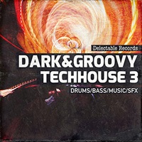 DARK AND GROOVY TECHHOUSE 03(オンライン納品)(2時間以内に納品)