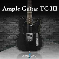 AMPLE GUITAR TC III(オンライン納品)(2時間以内に納品)