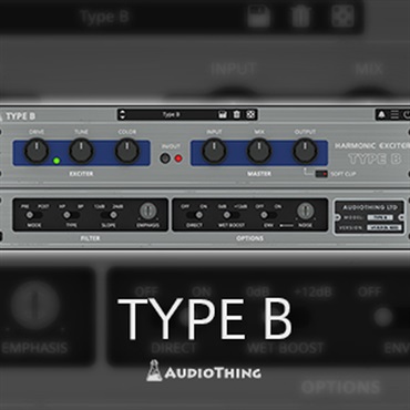 TYPE B(オンライン納品)(2時間以内に納品)