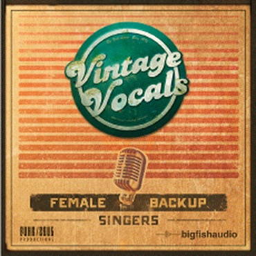 BIG FISH AUDIO VINTAGE VOCALS(オンライン納品)(2時間以内に納品)