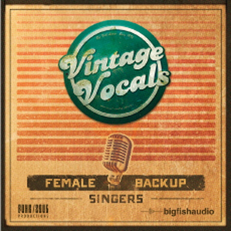 BIG FISH AUDIO VINTAGE VOCALS(オンライン納品)(2時間以内に納品)
