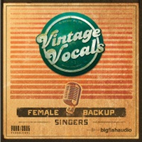 VINTAGE VOCALS(オンライン納品)(2時間以内に納品)