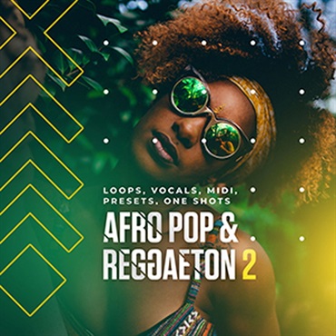 DIGINOIZ AFRO POP & REGGAETON2(オンライン納品)(2時間以内に納品)
