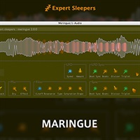 MARINGUE(オンライン納品)(2時間以内に納品)