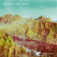 TEXTURED DEEP HOUSE(オンライン納品)(2時間以内に納品)
