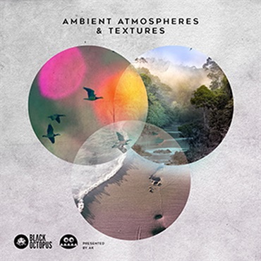 BLACK OCTOPUS AMBIENT ATMOSPHERES & TEXTURES BY AK(オンライン納品)(2時間以内に納品)
