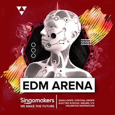 SINGOMAKERS EDM ARENA(オンライン納品)(2時間以内に納品)