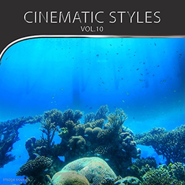 CINEMATIC STYLES 10(オンライン納品)(2時間以内に納品)